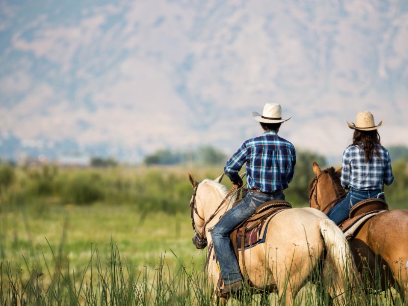 horseback riding