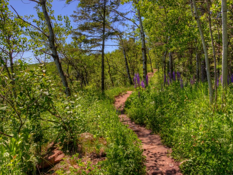 Hawks Ridge trail in Duluth