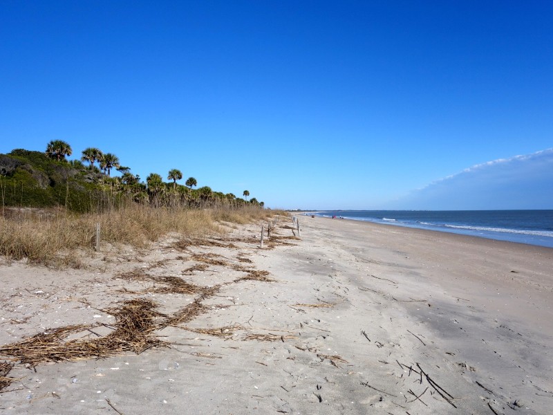 Edisto Beach