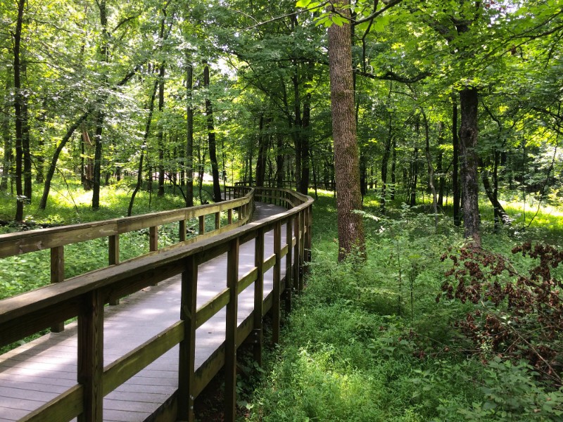 Mammoth Cave National Park