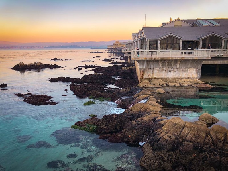 Monterey Bay Aquarium