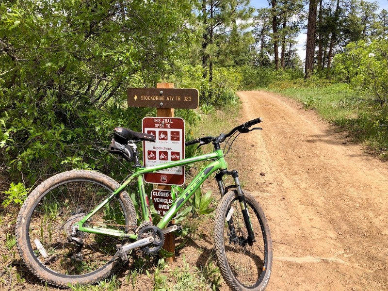 Mountain biking near Pagosa Springs