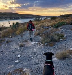 dog and person hiking trail at sunset