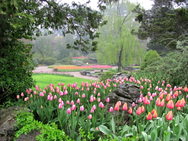 Royal Botanical Garden, Hamilton, Ontario, Canada