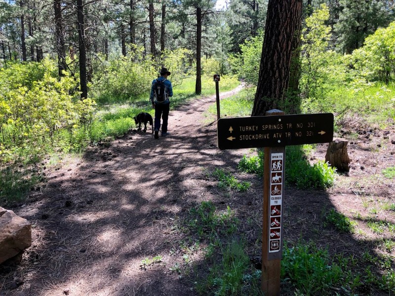 Turkey Springs hiking trail