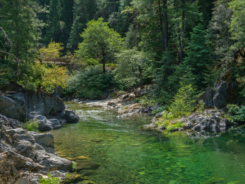 Yuba River, Downieville, California