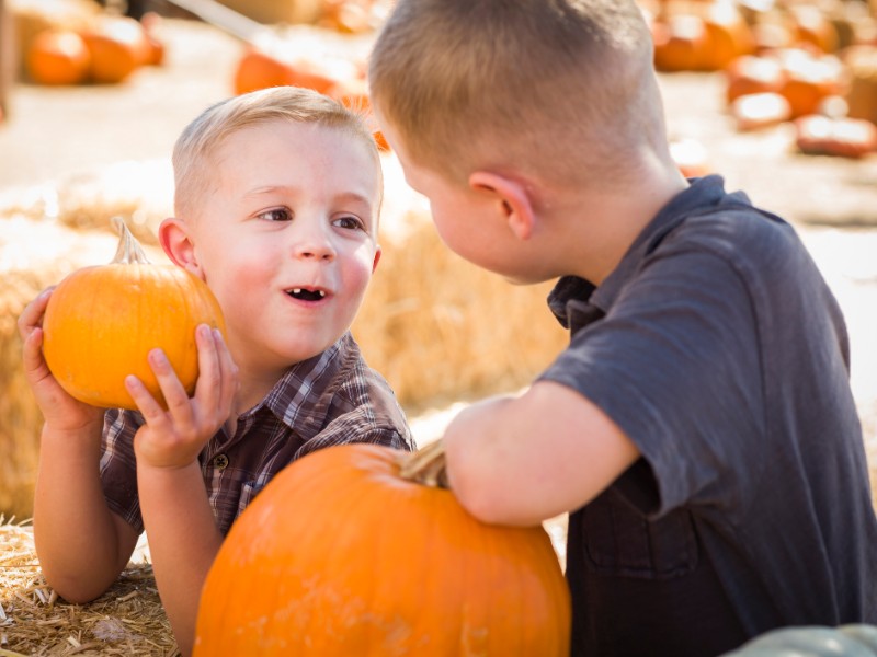 Fun in the pumpkin patch