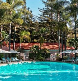 oval-shaped outdoor pool surrounded by lounge chairs and trees