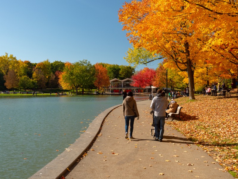 Beaver Lake, Mount Royal Park, Montreal in autumn