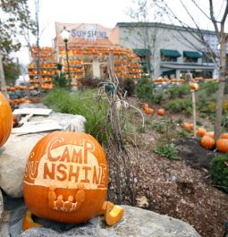 pumpkins carved in downtown main street freeport