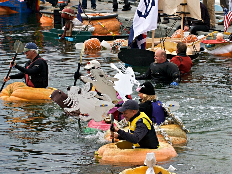 10 Best Fall Festivals in Maine (2020 Guide) Trips To Discover