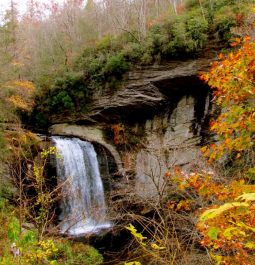 waterfall with fall foliage at pisgah national forest