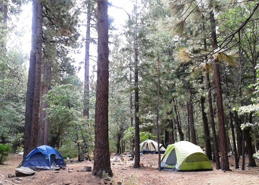 Pineknot Campground