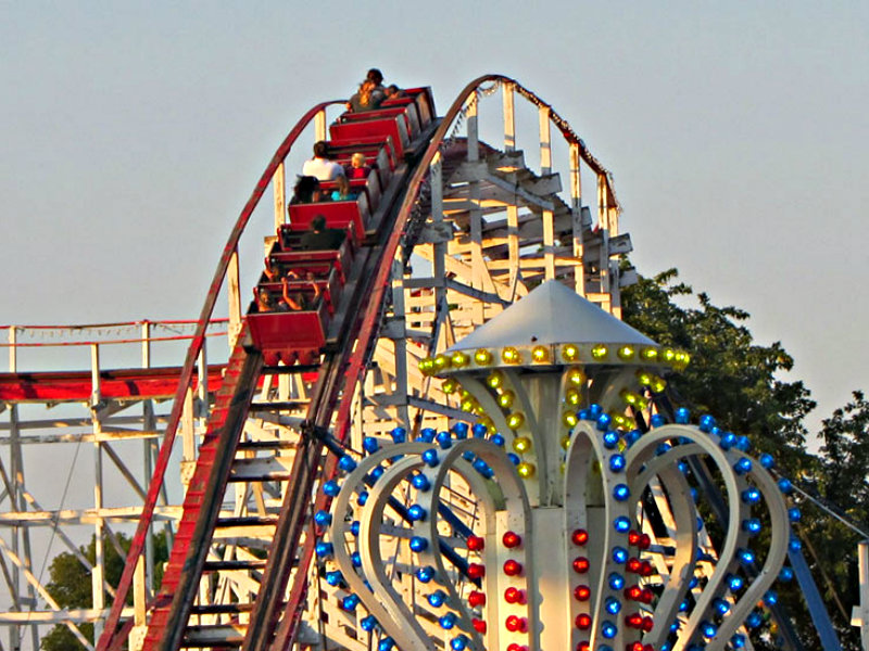 Stricker's Grove