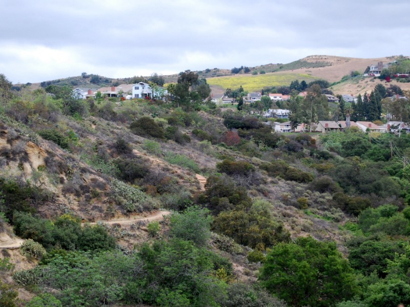 Oak Canyon Nature Center 