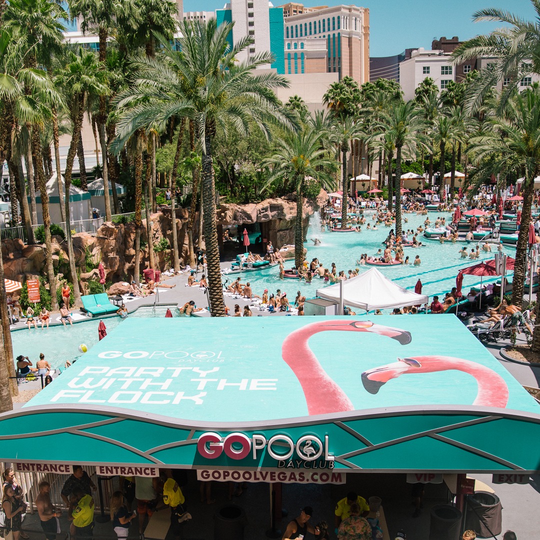 GO Pool at Flamingo Las Vegas