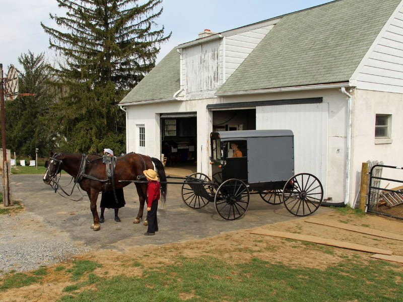 Paradise Amish Bed & Breakfast, Paradise Pennsylvania Airbnb