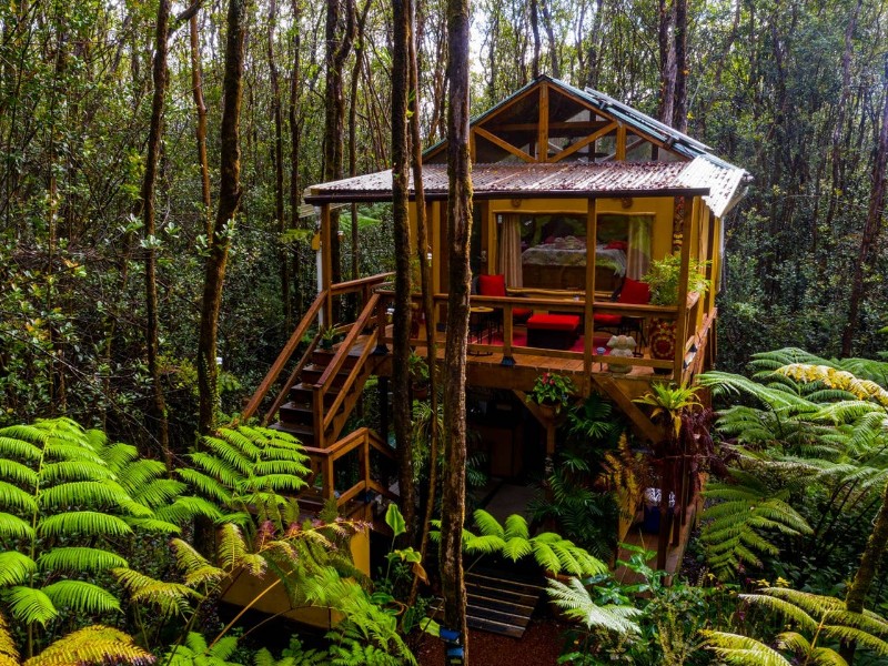 Peaceful Rainforest Treehouse Retreat