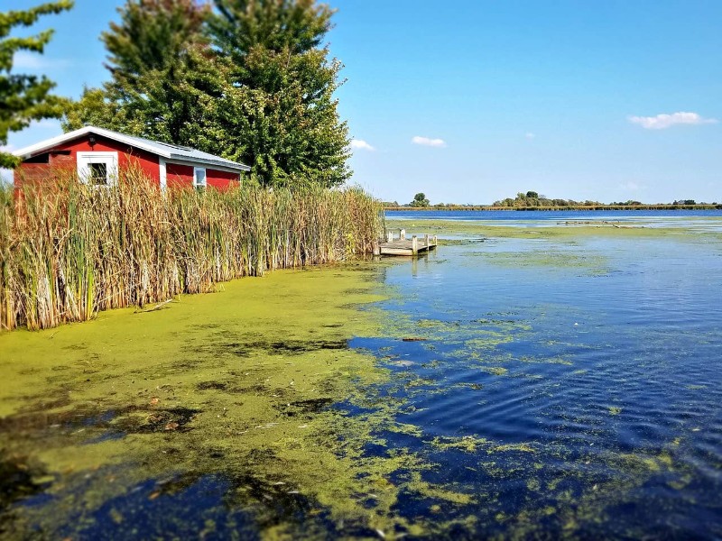 Private Island Cabin Omro, Wisconsin Airbnb