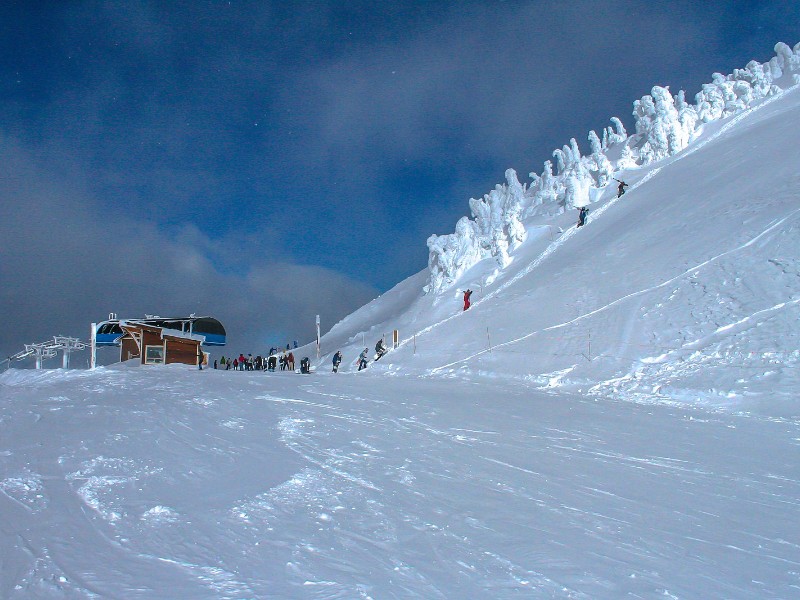 Mt Revelstoke back country skiing, Canada