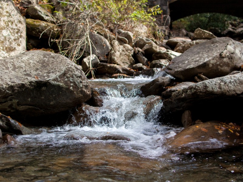 Rocky stream in North Carolina