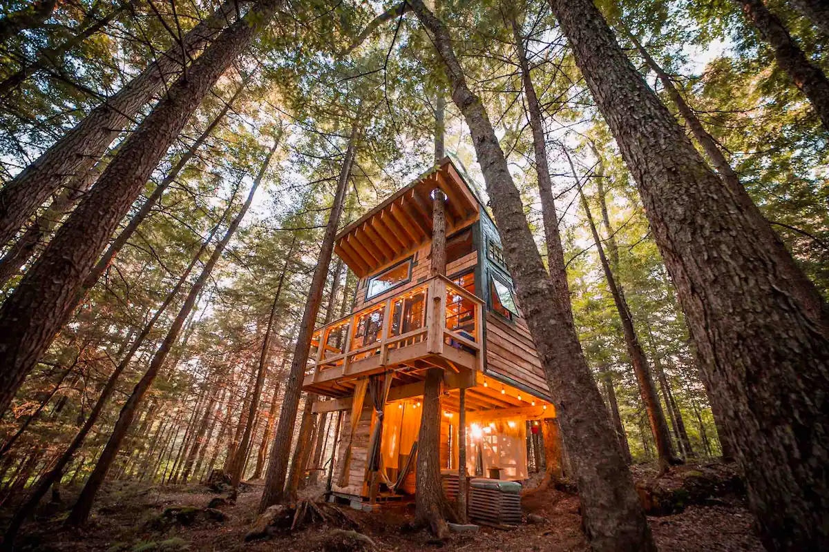 Lovely Treehouse in the Woods