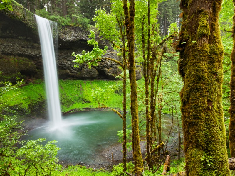 South Falls in the Silver Falls State Park