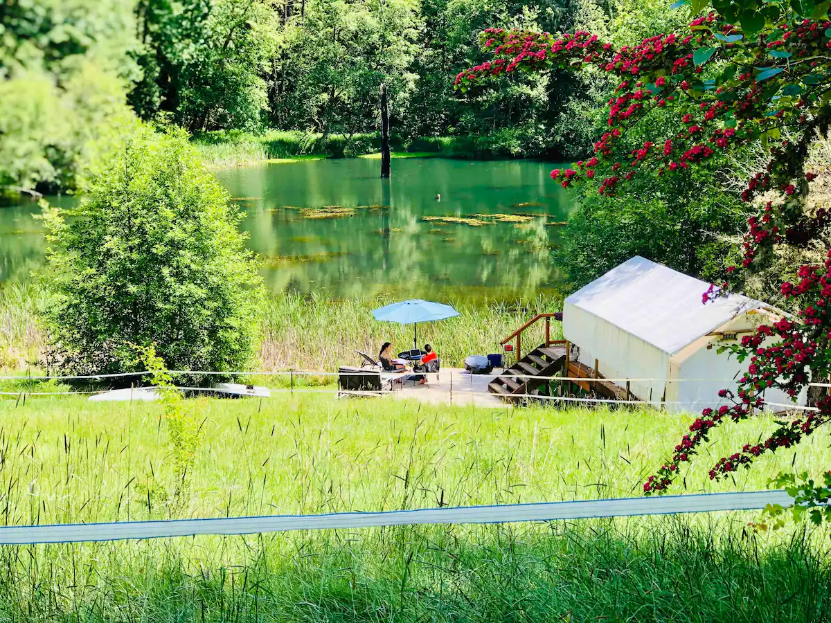 Blissful Glamping - Private Forested 5 Acre Oasis