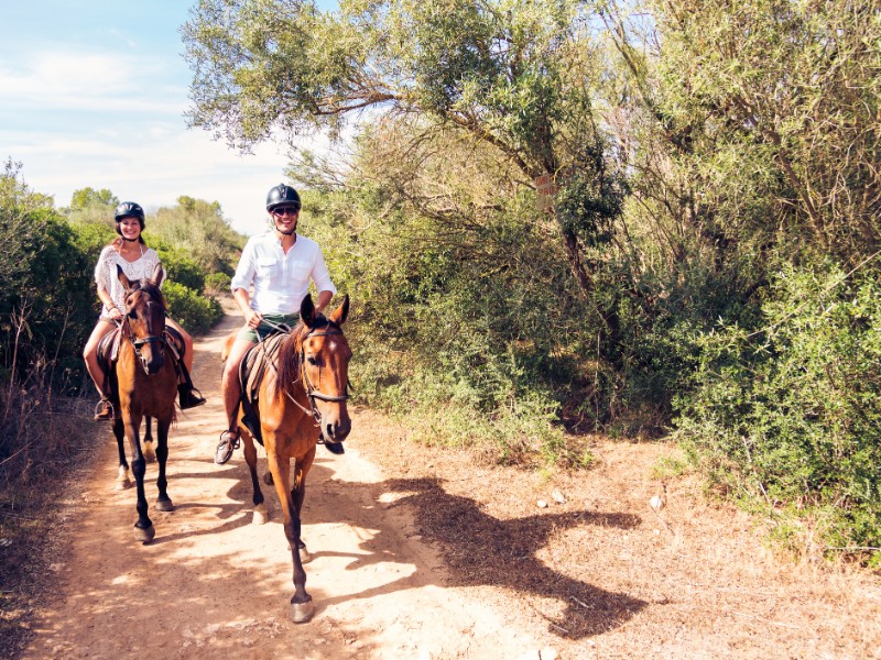 Horseback Riding 