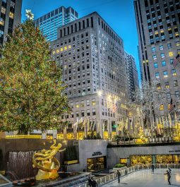 large christmas tree at rockefeller center in new york city