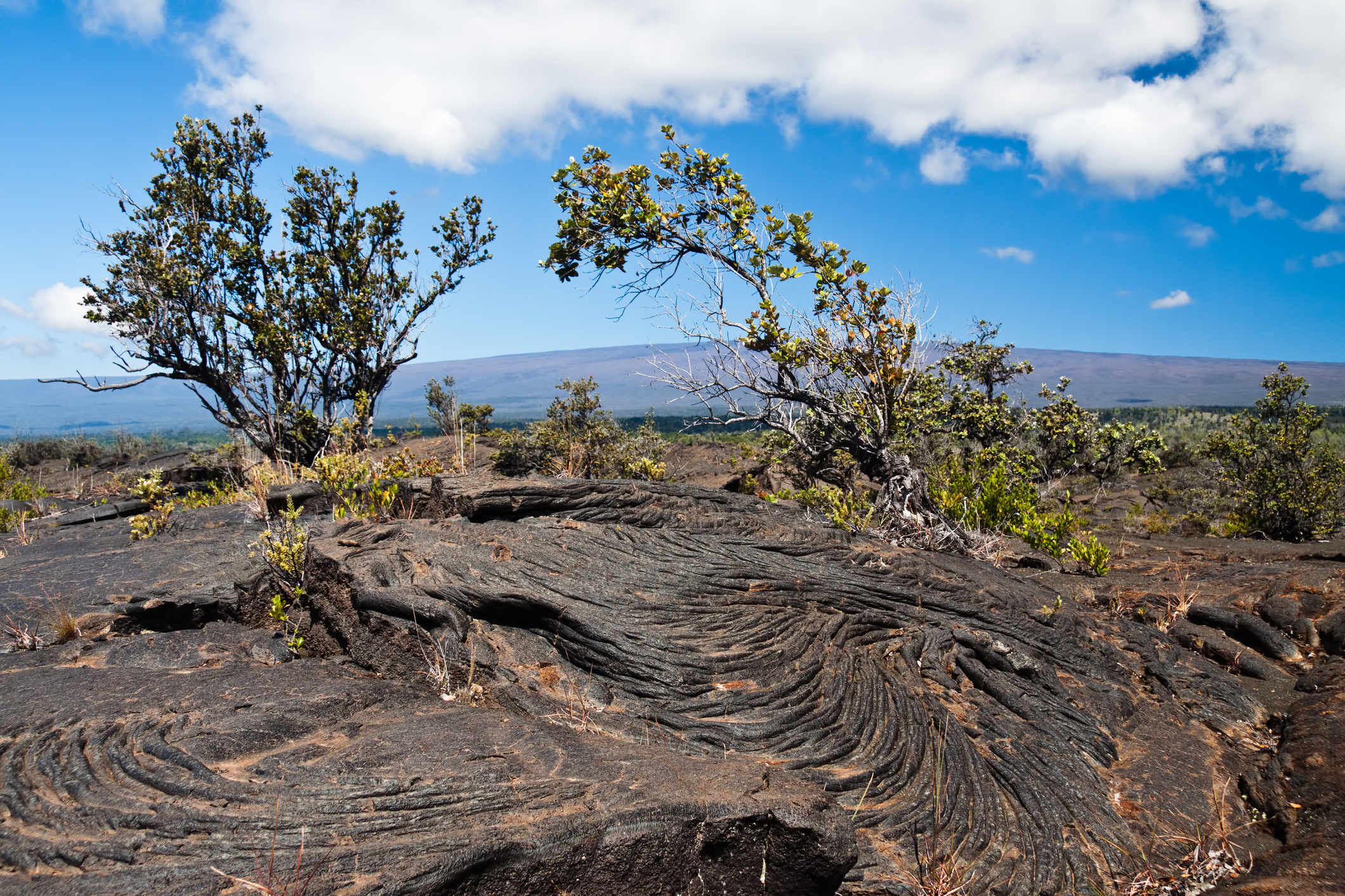 Pahoehoe on the Puna-kau Trail in Volcanoes National Park