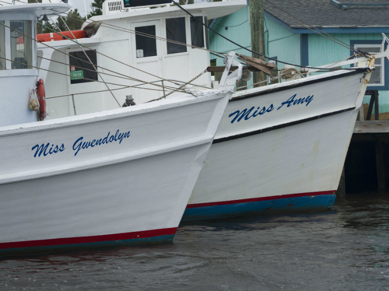 Boats in Oak Island