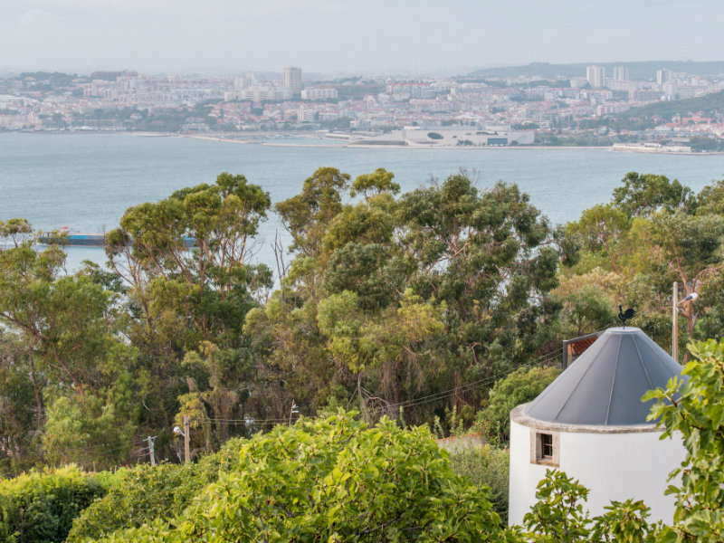 Cozy 1850s Windmill with City and River Sunset Views