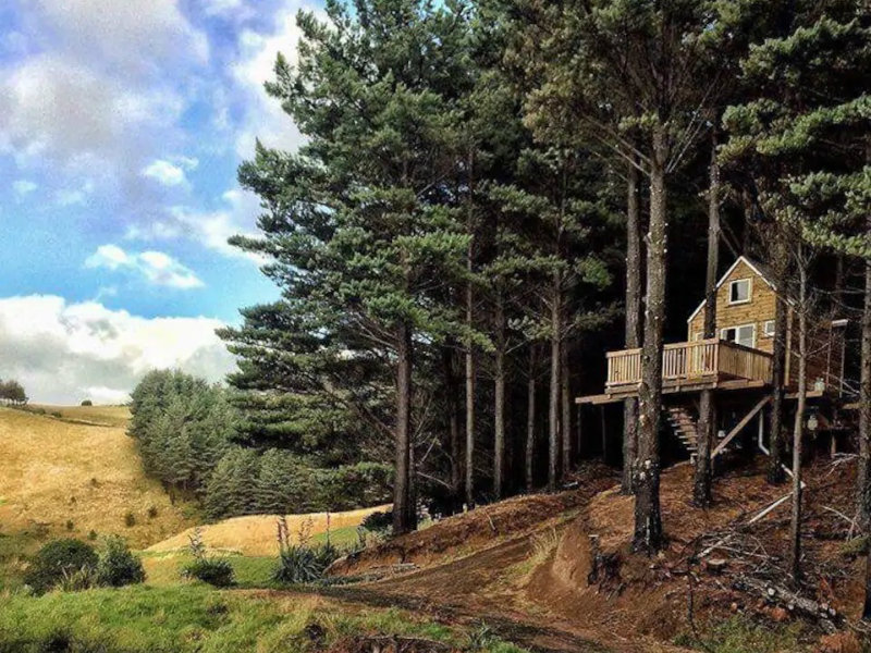 Raglan Treehouse in the Woods