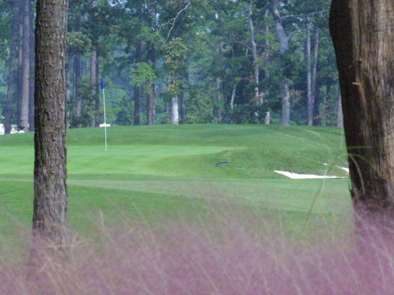 UNC Finley Golf Course
