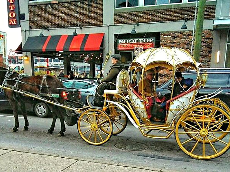 Horse-Drawn Carriage Ride
