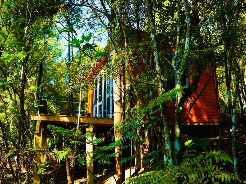 Fantail Bush Chalet, Wainui