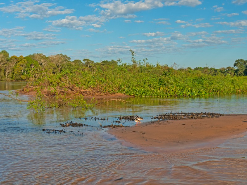 Pantanal Wetlands Panorama