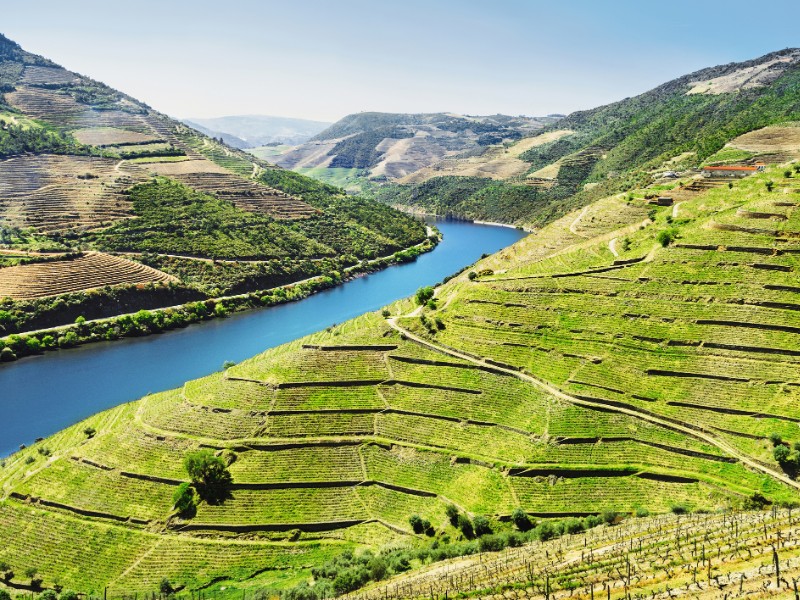 Douro Valley