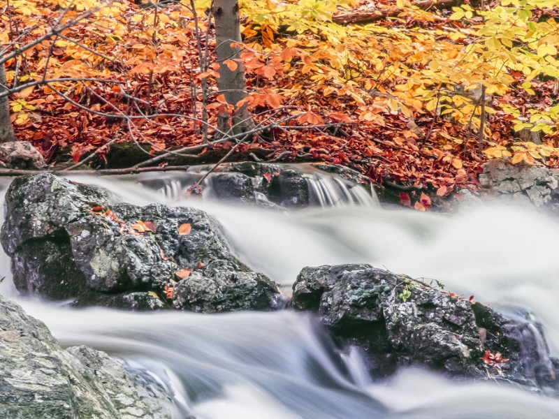 Fall colors at Harriman State Park