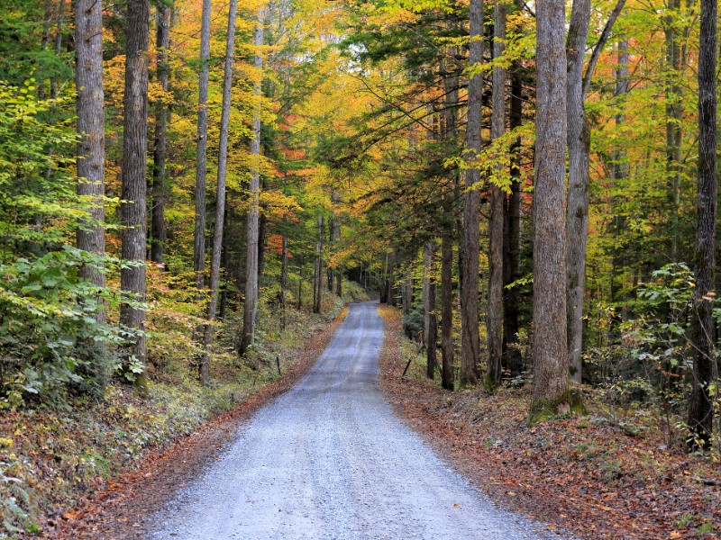 Great Smoky Mountains in North Carolina