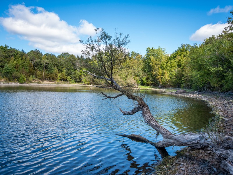 Water view at Point au Roche State Park