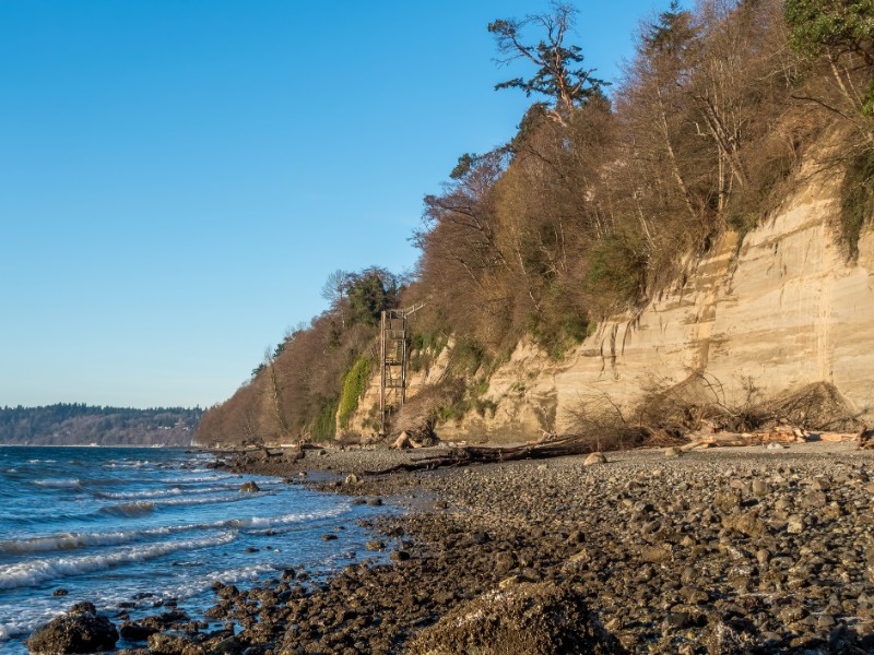 Saltwater State Park In Washington State