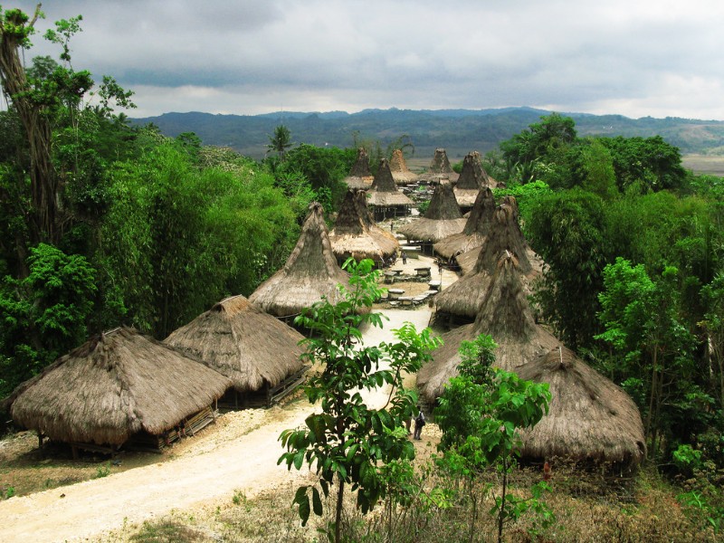 Traditional village in Sumba, Indonesia