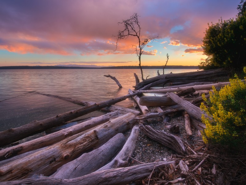 Camano Island State Park sunset