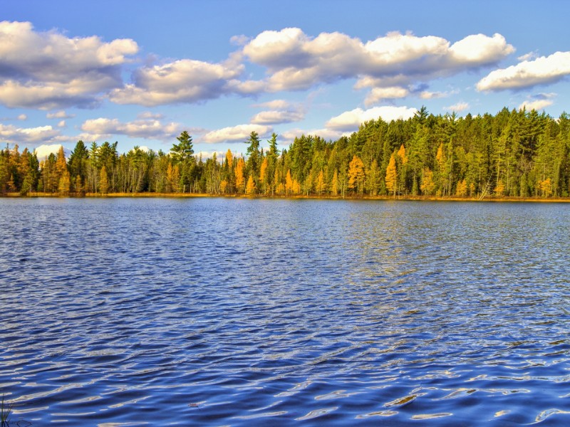 Lake at Hartwick Pines State Park