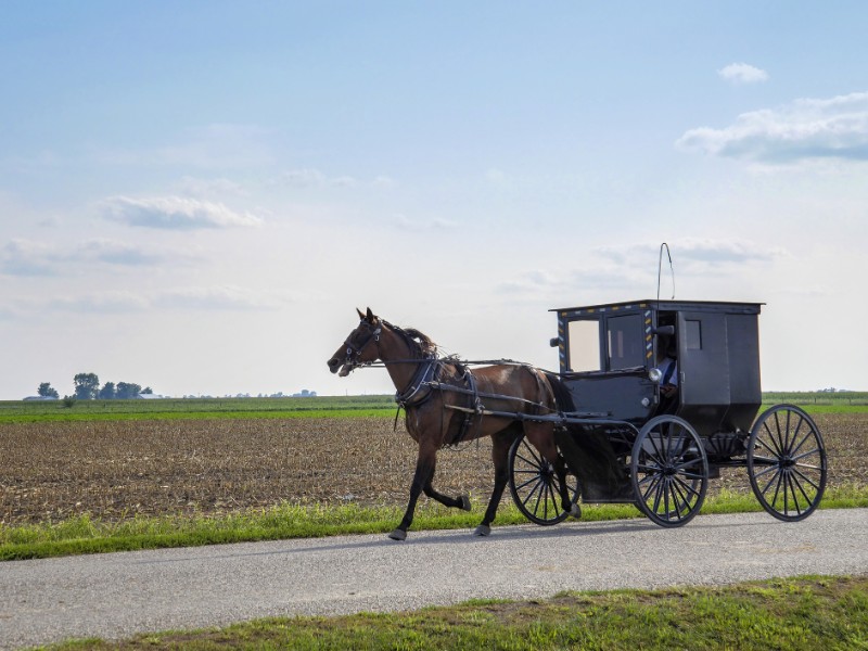 Amish horse and buggy in Arthur, Illinois. 