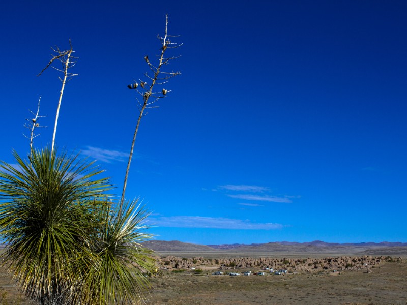 Long view of City of Rocks State Park in New Mexico, with a large Soaptree Yucca