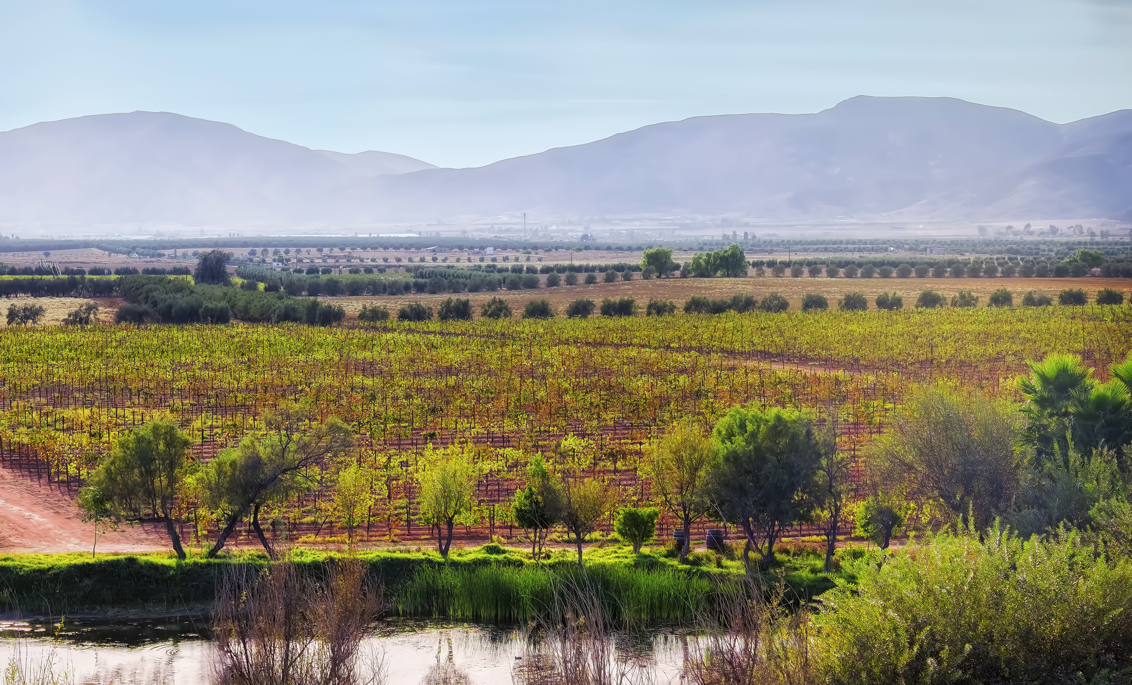 Guadalupe Valley, Wine Country, Baja, Mexico