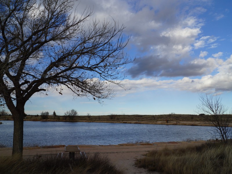 Oasis State Park is set among cottonwood trees, shifting sand dunes, and a small fishing lake